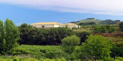 Bodegas Ateca