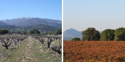 Bodegas Jiménez-Landi