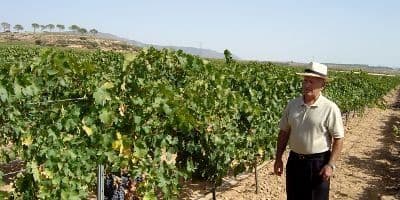 Bodegas y Viñedos El Sequé