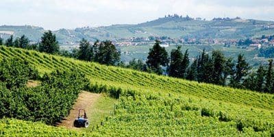 Tenuta Carretta
